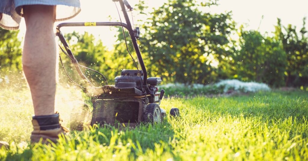 Gras onderhouden met een grasmaaier